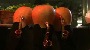 SaladBar.Band.jpg