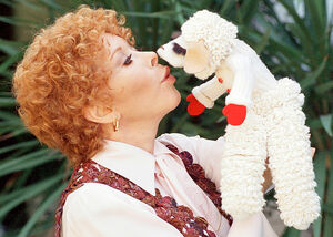 Lamb Chop | Puppet Wiki | Fandom Lamb Chop | Puppet Wiki | Fandom