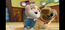 Rollie the licking puppy cheap