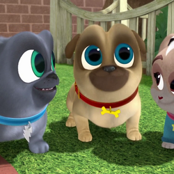 Puppy dog pals 2019 deals