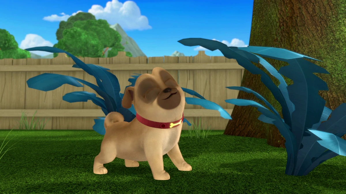 What to Expect When You're Eggspecting/Gallery Puppy dog pals Wiki