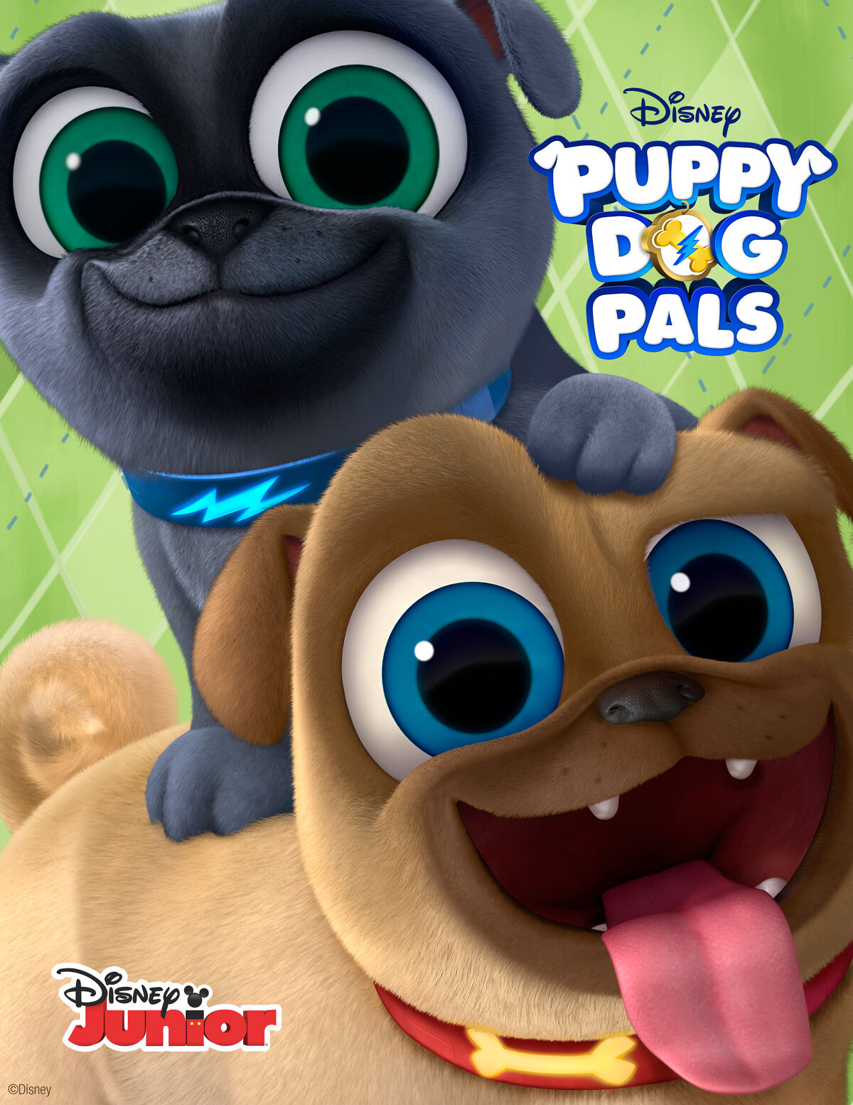what kind of dogs are the puppy dog pals