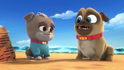 what breed is keia puppy dog pals