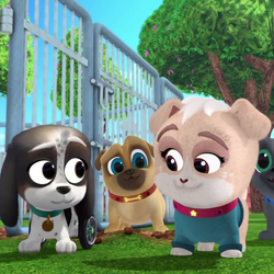 Category 2019 episodes Puppy dog pals Wiki Fandom