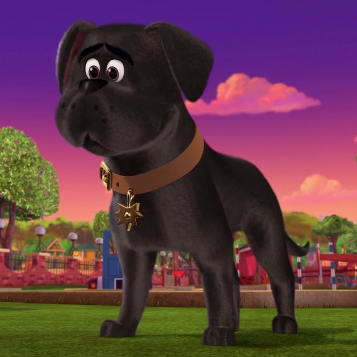 what breed is cupcake from puppy dog pals