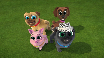 Bobs playa pups online