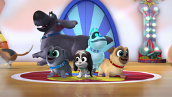 https://static.wikia.nocookie.net/puppydogpals/images/5/5c/3011_0425.png/revision/latest/scale-to-width-down/250?cb=20220812001112