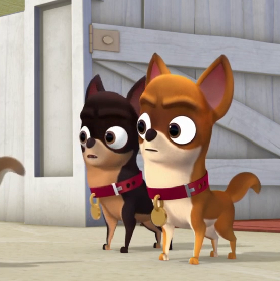 what breed is cupcake from puppy dog pals