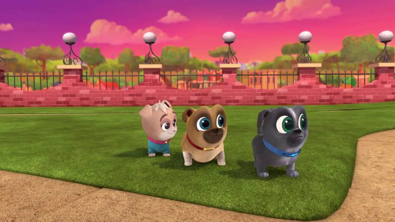 Can Puppies Go To Dog Parks