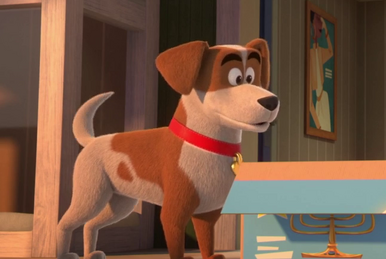 what breed is cupcake from puppy dog pals