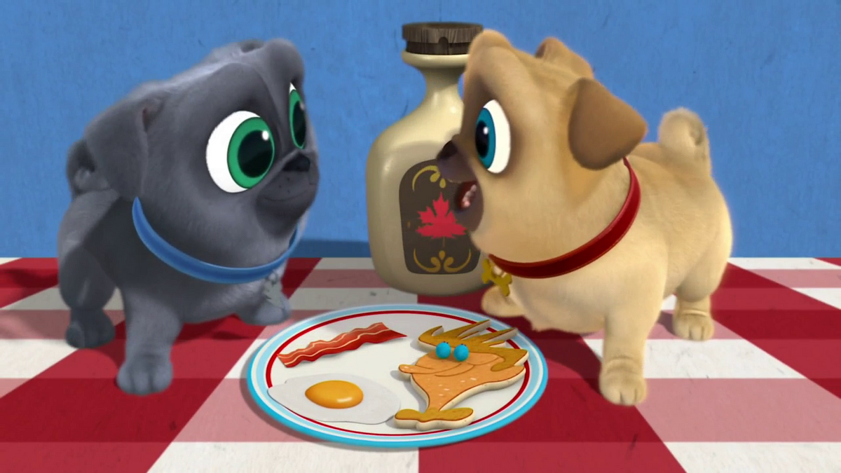 Is bob a dog's name clearance