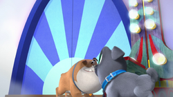 https://static.wikia.nocookie.net/puppydogpals/images/9/96/3011_0453.png/revision/latest/scale-to-width-down/250?cb=20210813074519