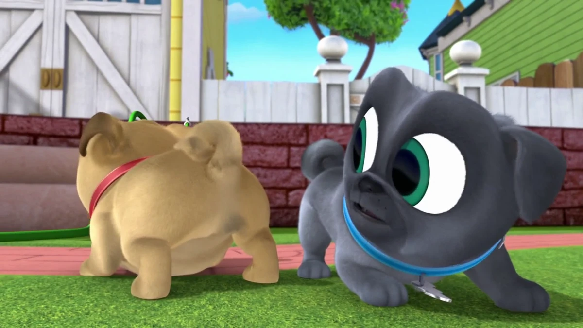 Cousin Cody/Gallery Puppy dog pals Wiki Fandom