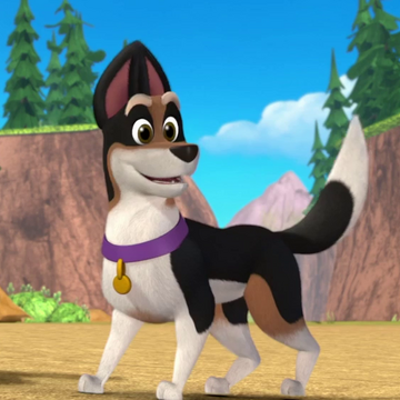 Puppy dog pals girl sale dog