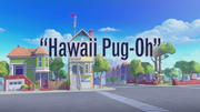 Hawaii Pug-Oh title card
