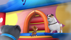 new design kates playground wiki puppy