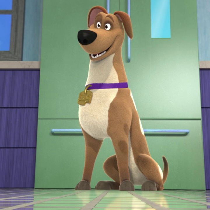 what breed is cupcake from puppy dog pals