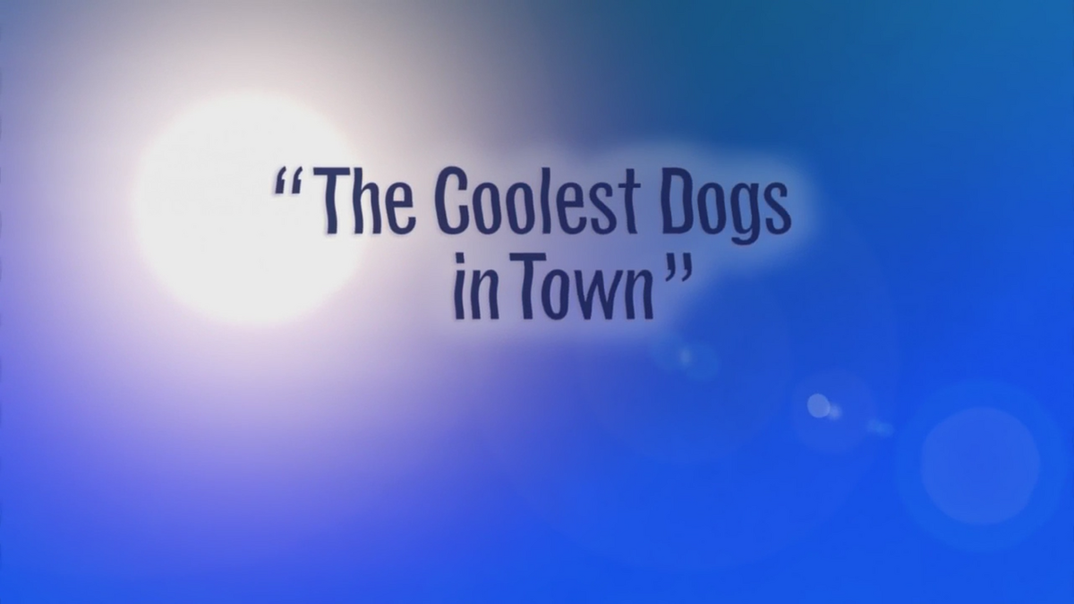 Cool 2024 city dogs