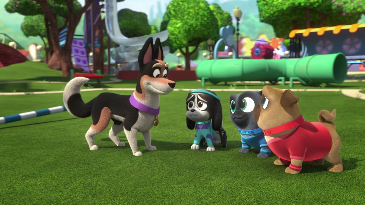 where does puppy dog pals take place