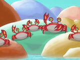 Crabs