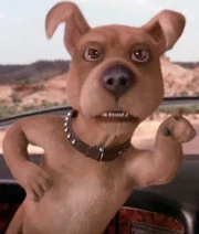 Stupid humans! You made me look bad!