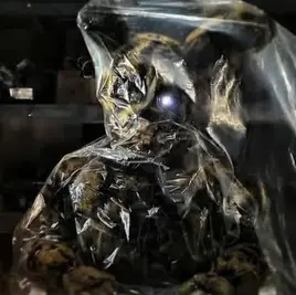 Yellow Rabbit (2002)