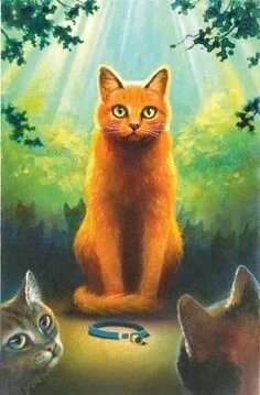 Firestar and Bluestar  Warrior Cats Dunes-of-Fruit