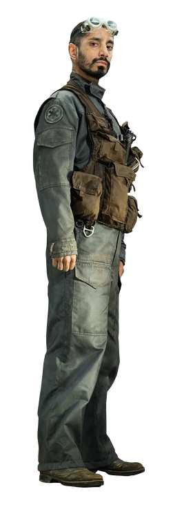 Bodhi rook