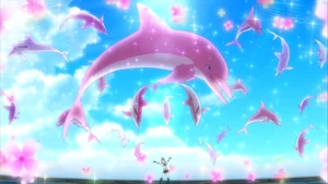 Pink Dolphin Venus Perfect