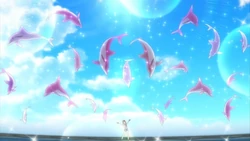 Pink Dolphin Venus