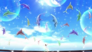 Dolphin Venus Perfect