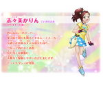 Karin's official profile 2.