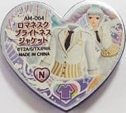 Romanesque Brightness Jacket