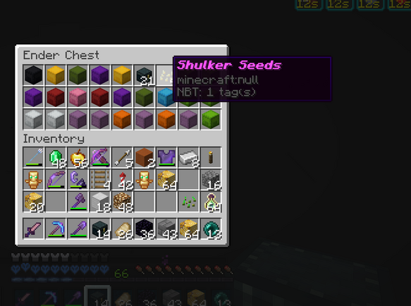 Shulker Seeds in Kylesmile's Echest,.png