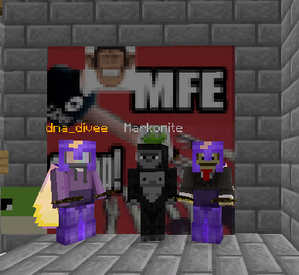 MFE.png