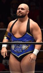 MichaelElgin