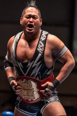 Gaora TV Championship | Puroresu System Wiki | Fandom