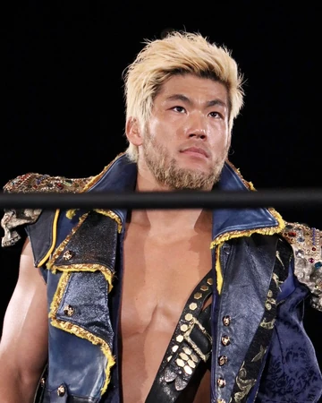 sanada puroresu system wiki fandom