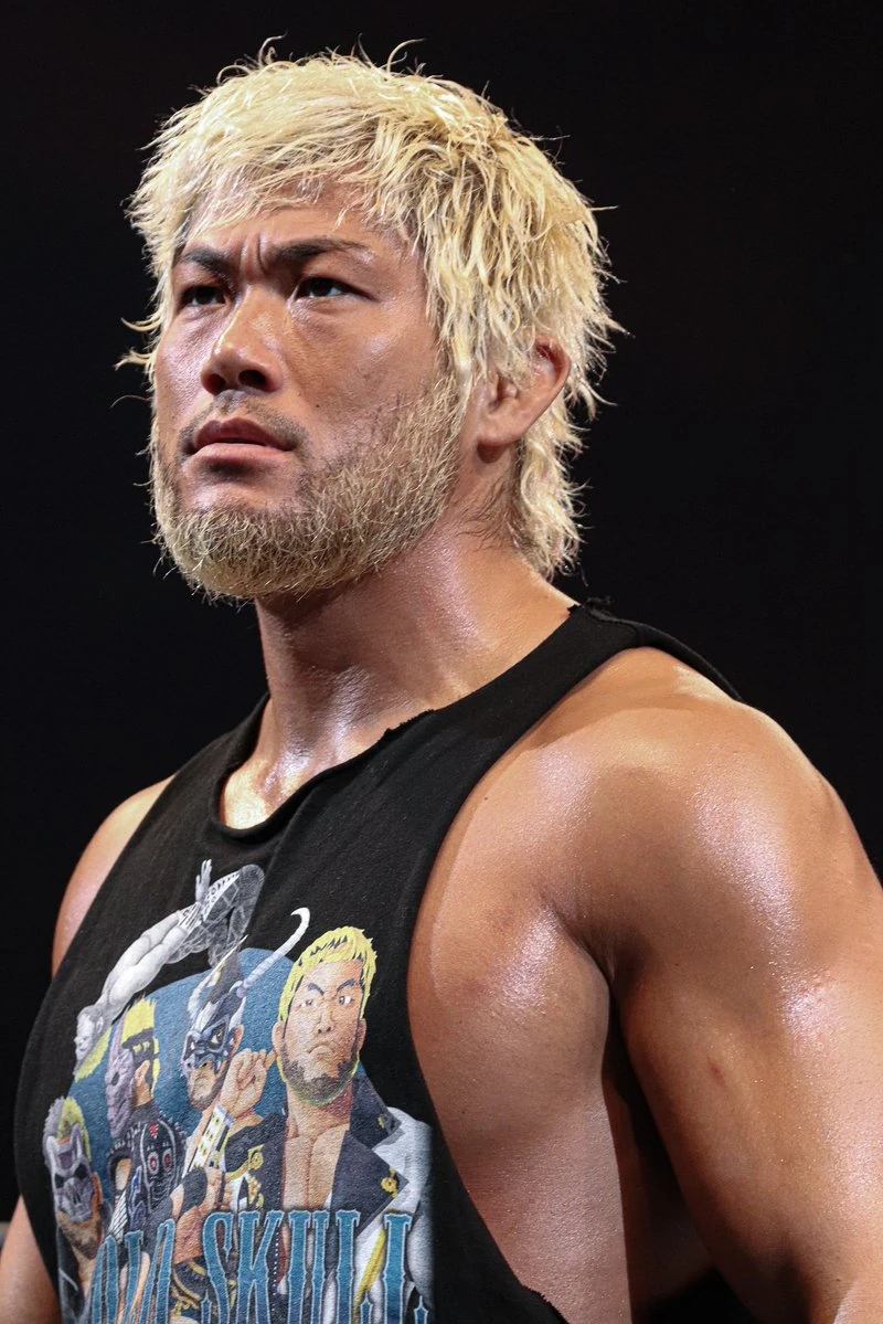 Sanada Puroresu System Wiki Fandom