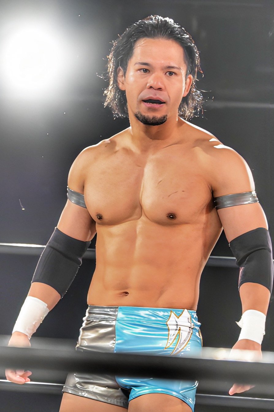 Seiki Yoshioka | Puroresu System Wiki | Fandom