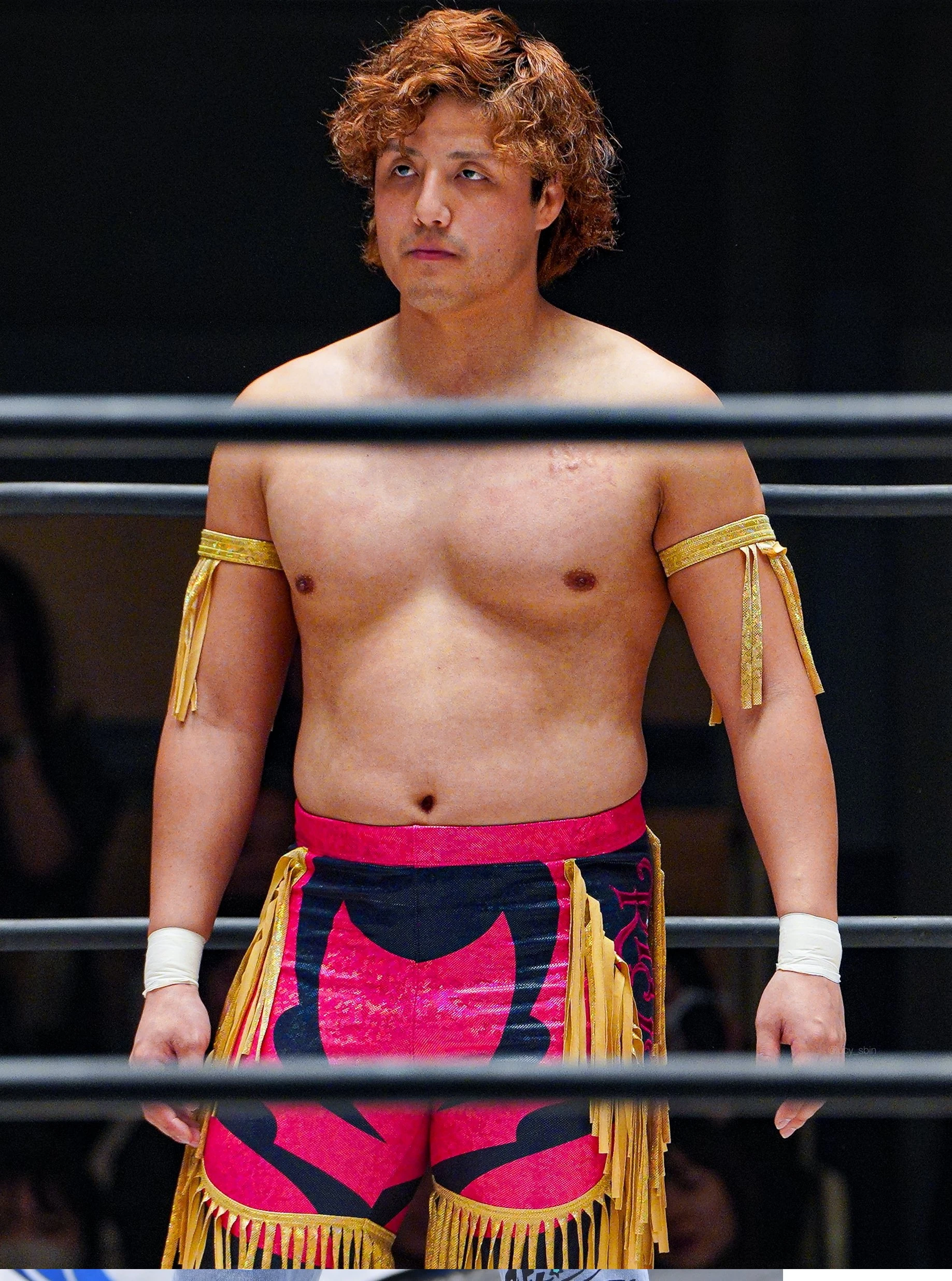 RYUSEI | Puroresu System Wiki | Fandom