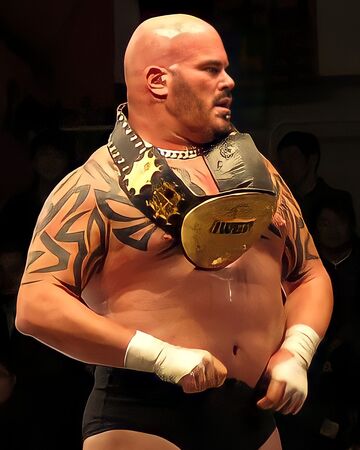 The most important thing that. Matt Bloom Puroresu System Wiki Fandom