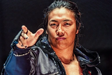 Hina | Puroresu System Wiki | Fandom