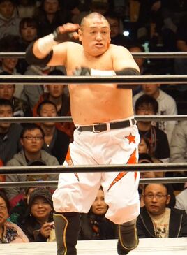 Hoshino