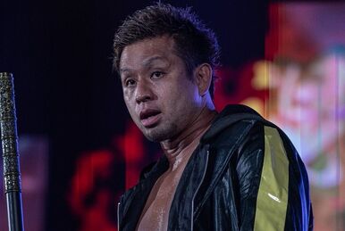 NEVER Openweight Championship | Puroresu System Wiki | Fandom