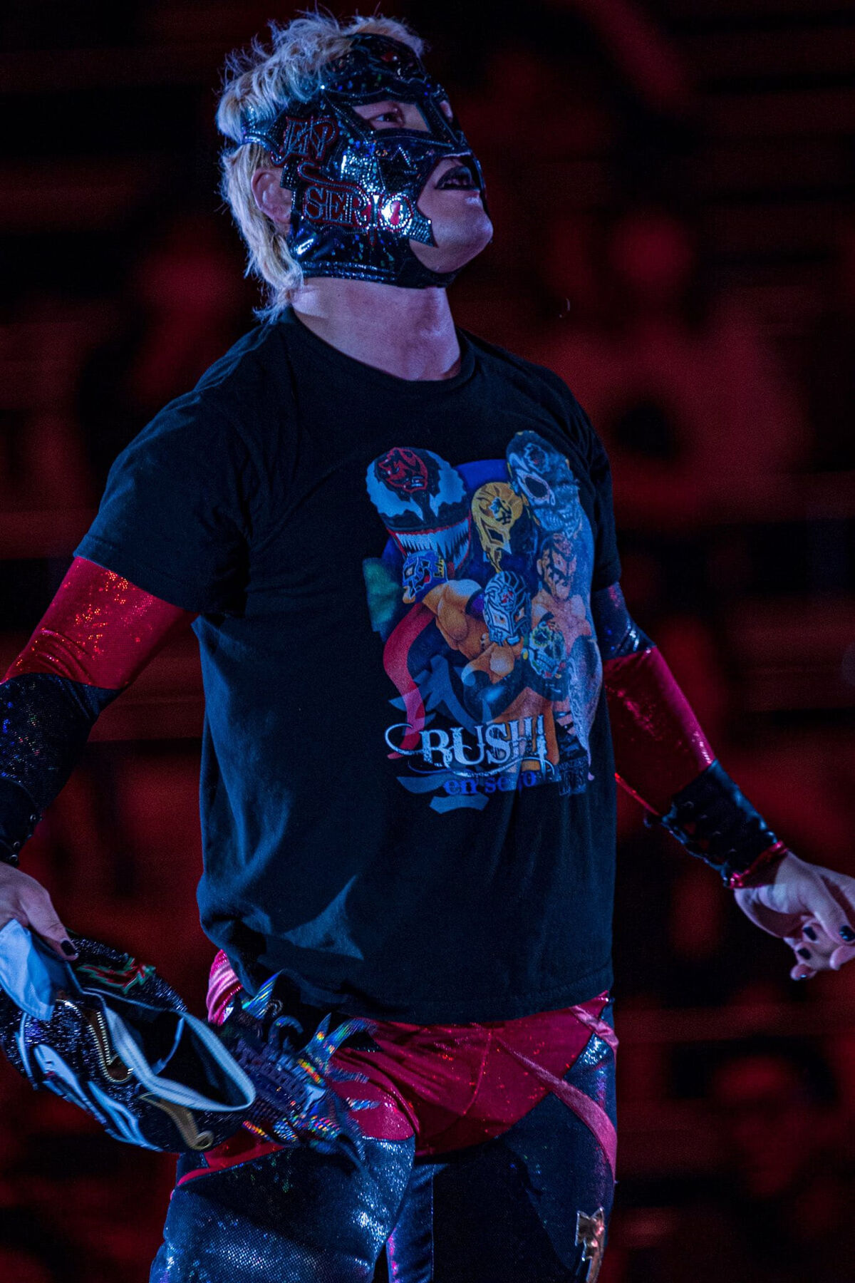 BUSHI | Puroresu System Wiki | Fandom