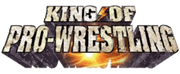 King of Pro-Wrestling