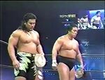 Kensuke Sasaki and Riki Choshu