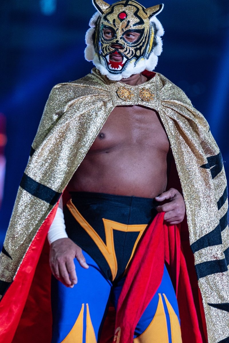 tiger mask wrestler mask