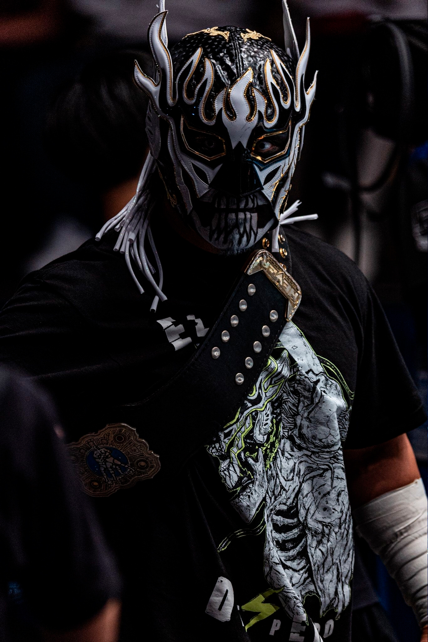 El Desperado, Puroresu System Wiki